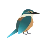 Kōtare | Sacred Kingfisher