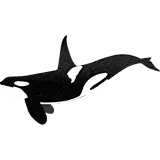 Kera Wēra | Orca