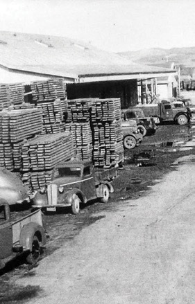 Tauranga Railway Shed