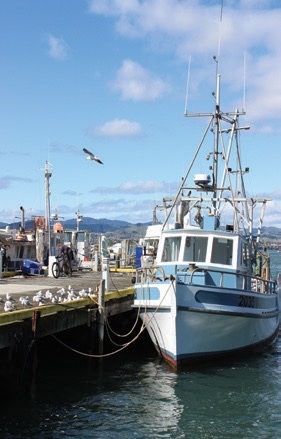 Tauranga Railway Wharf