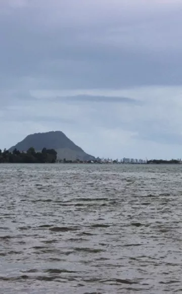 Waikareao Estuary