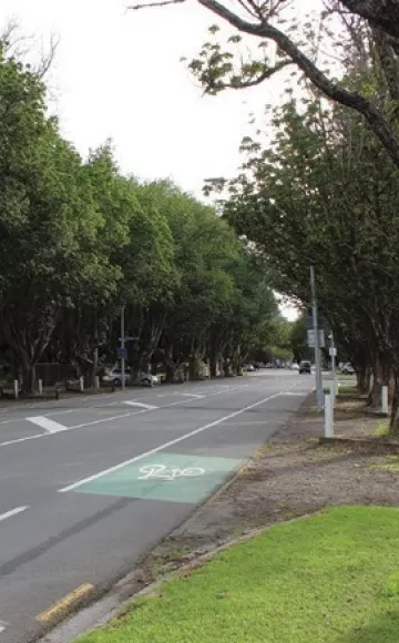 Pūriri Avenue