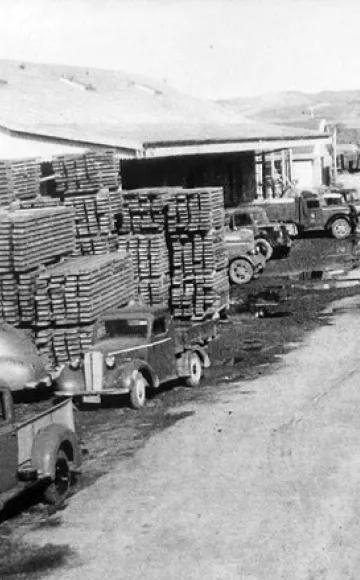 No. 1 Cargo Shed