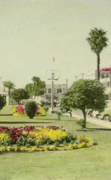 Okahukura | Strand Gardens