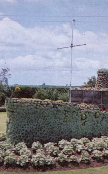 Floral Ship